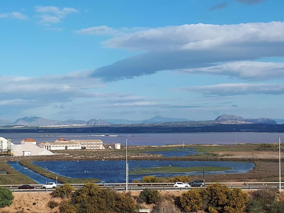 Apartament Flamingo Z Basenem Torrevieja Exterior photo