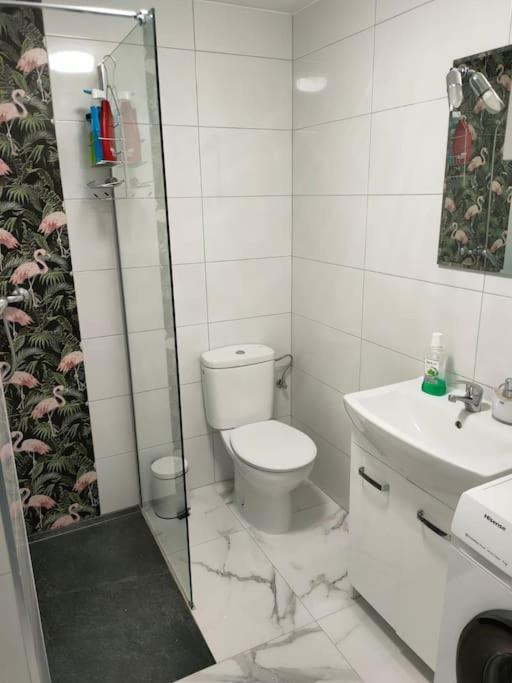 Apartament Flamingo Z Basenem Torrevieja Exterior photo