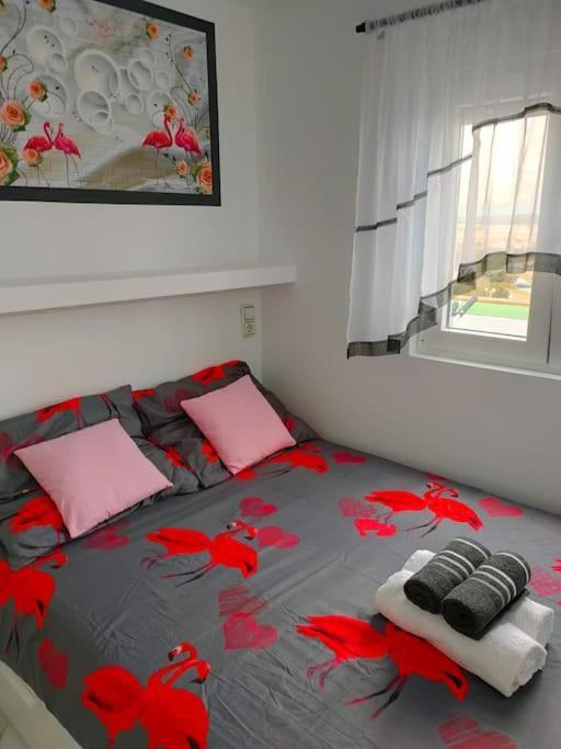 Apartament Flamingo Z Basenem Torrevieja Exterior photo